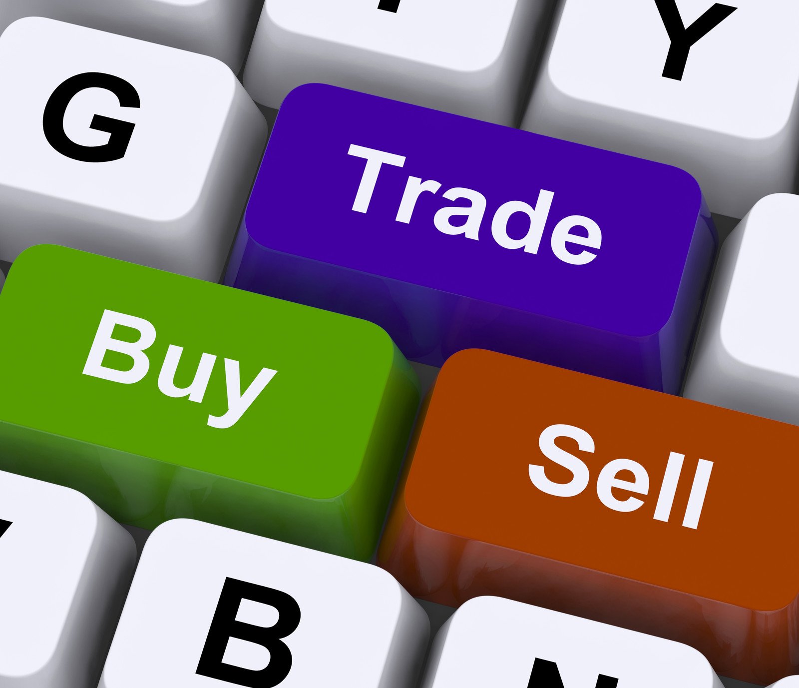 SEO web trading