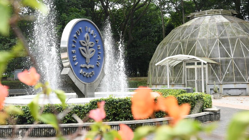 Hasil Seleksi IPB: Mengapa Tidak Semua Orang Lulus?